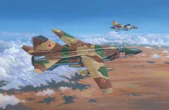 俄罗斯米格-23ML”鞭挞者-G”战斗机  02855