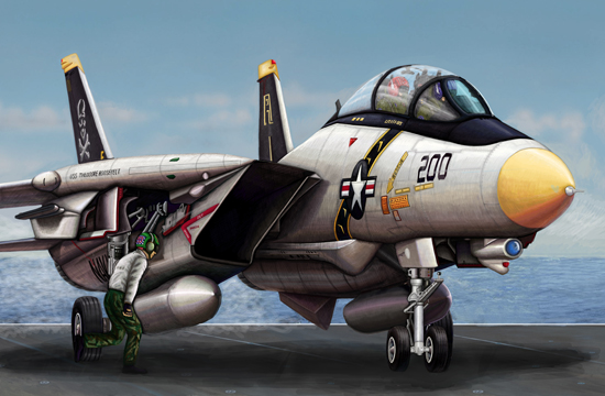 美国F-14A"雄猫"战斗机  03910