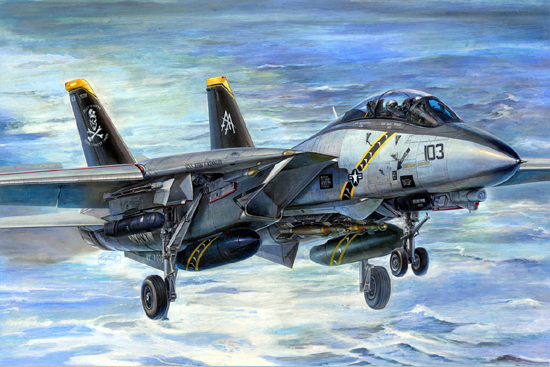 F-14B Tomcat   03202