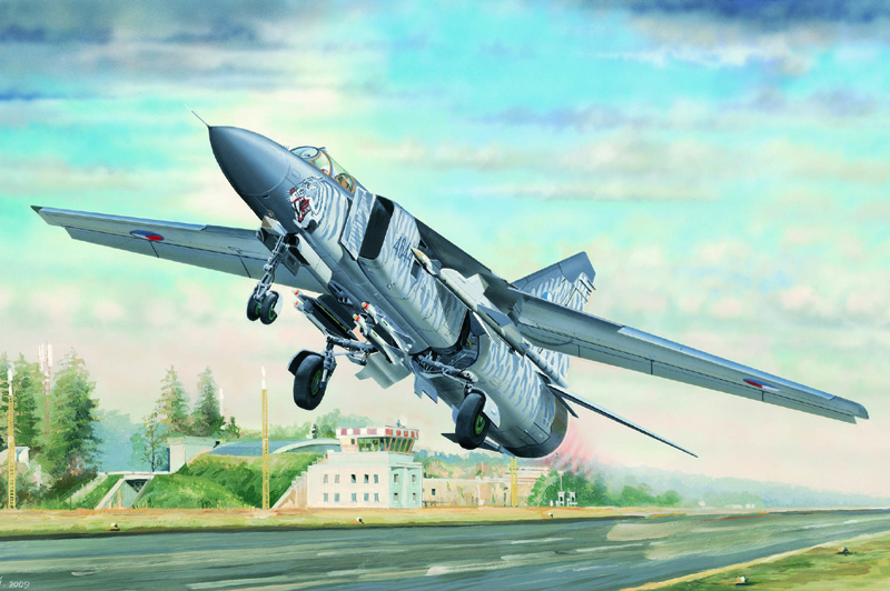 米格-23ML"鞭挞者-G"战斗机    03210