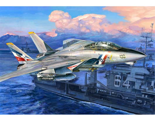 F-14D超级雄猫可变翼战斗机    03203