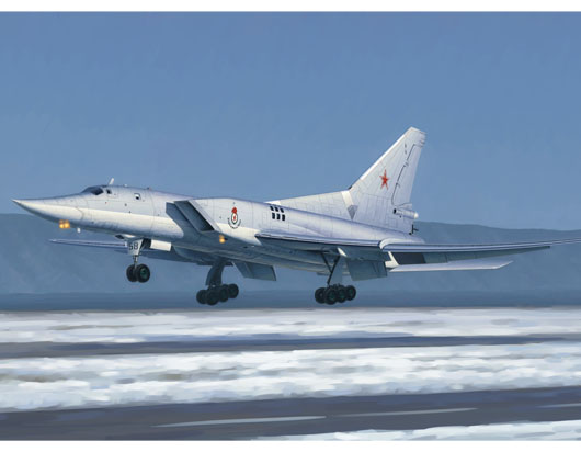 俄罗斯Tu-22M3逆火C型战略轰炸机    01656