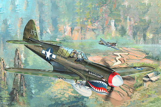 P-40N“战鹰”战斗机 02212